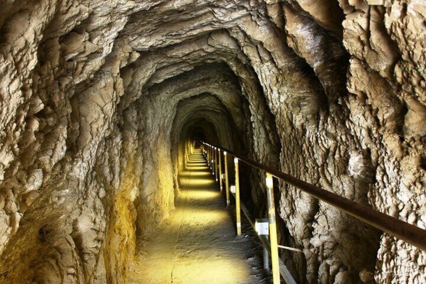 PRIVATE TOUR-Hike Diamond Head & Hawaiian Waterfall