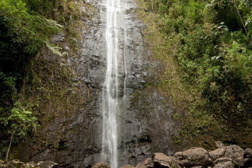 PRIVATE TOUR-Hike Diamond Head & Hawaiian Waterfall