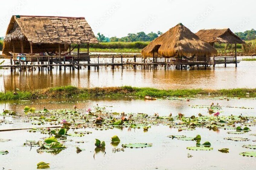 View at Lake around Tonle sap lae