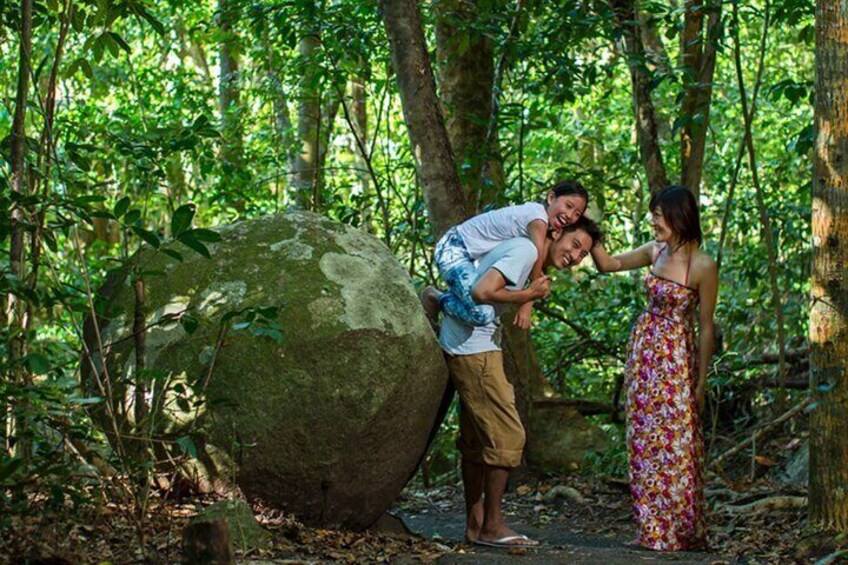 Best of Fitzroy Island Day Tour 