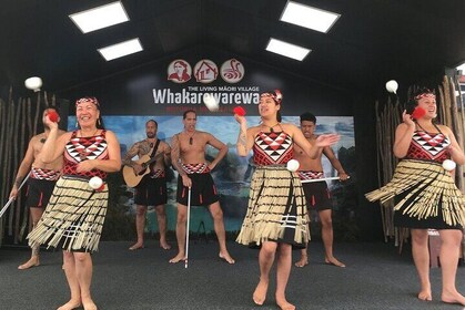 Guided Māori History and Culture Tour to Rotorua and Tauranga