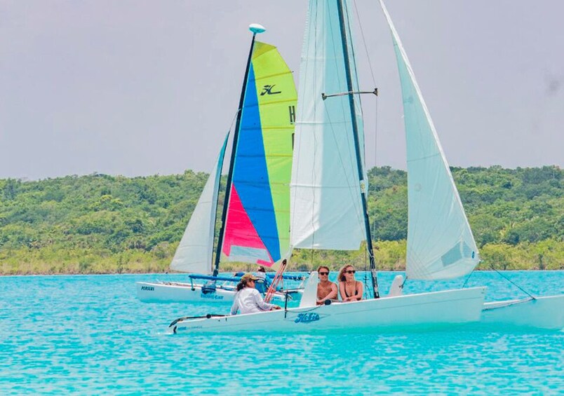 Picture 2 for Activity Catamaran Private Sailing between Mangroves