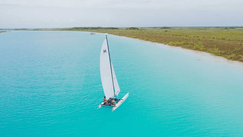 Picture 5 for Activity Bacalar: Catamaran Private Sailing between Mangroves