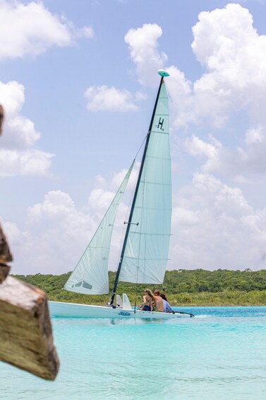 Picture 1 for Activity Catamaran Private Sailing between Mangroves