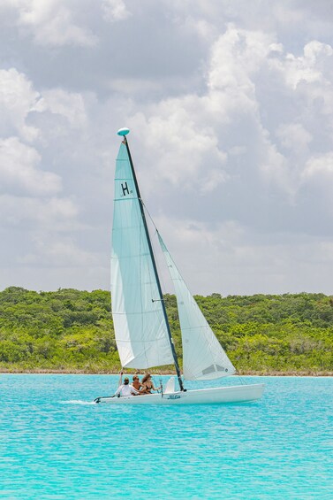 Picture 6 for Activity Catamaran Private Sailing between Mangroves