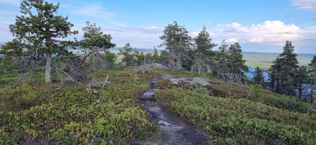 Finnish Lapland: Midnight Sun Hike in Riisitunturi np