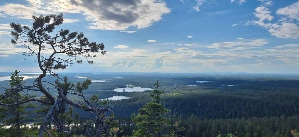 Picture 1 for Activity Finnish Lapland: Midnight Sun Hike in Riisitunturi np