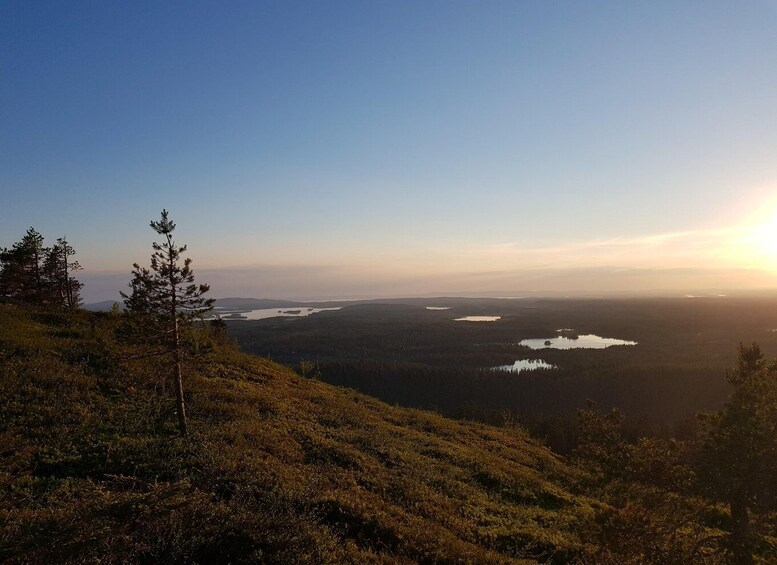 Picture 4 for Activity Finnish Lapland: Midnight Sun Hike in Riisitunturi np