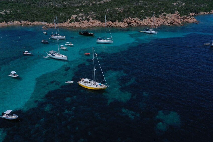 Picture 3 for Activity Palau: La Maddalena Sailing Tour with Lunch and Open Bar