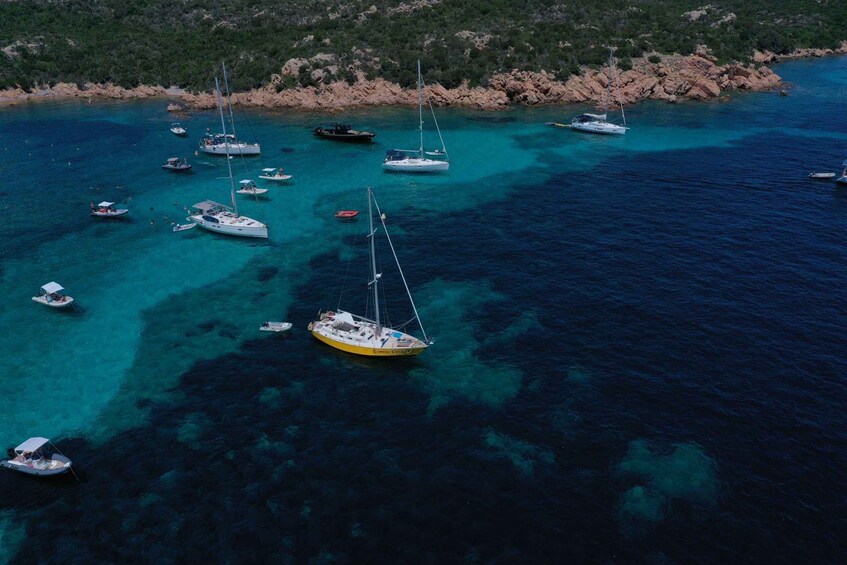 Picture 3 for Activity Palau: La Maddalena Sailing Tour with Lunch and Open Bar