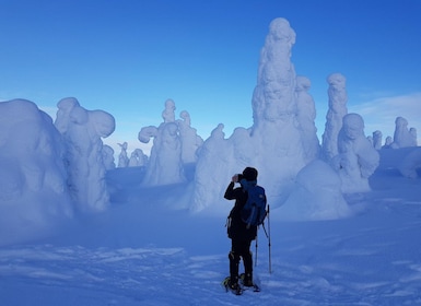 Riisitunturi National Park Private Snowshoe Experience