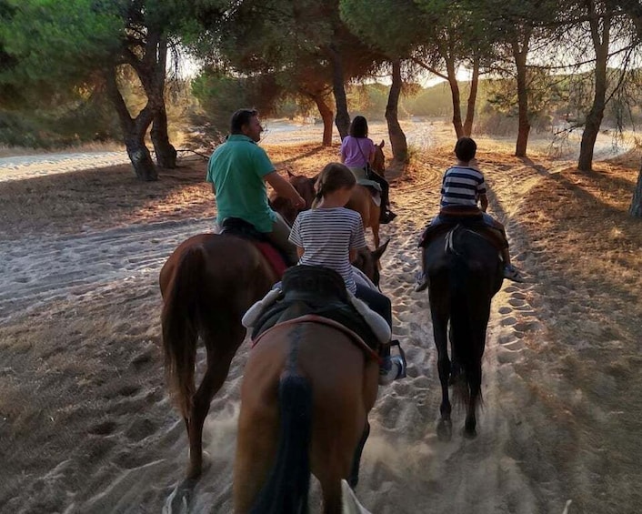 Picture 3 for Activity El Rocío: Doñana National Park Horseback Riding Tour