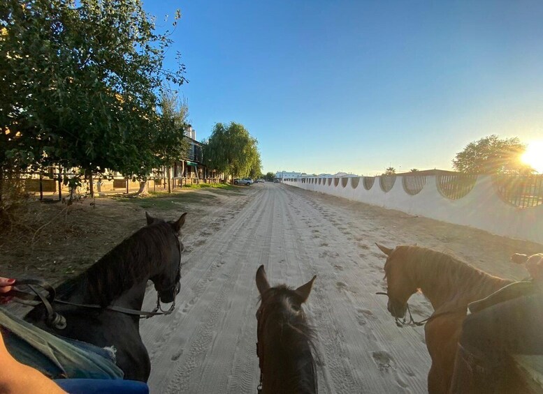 Picture 2 for Activity El Rocío: Doñana National Park Horseback Riding Tour