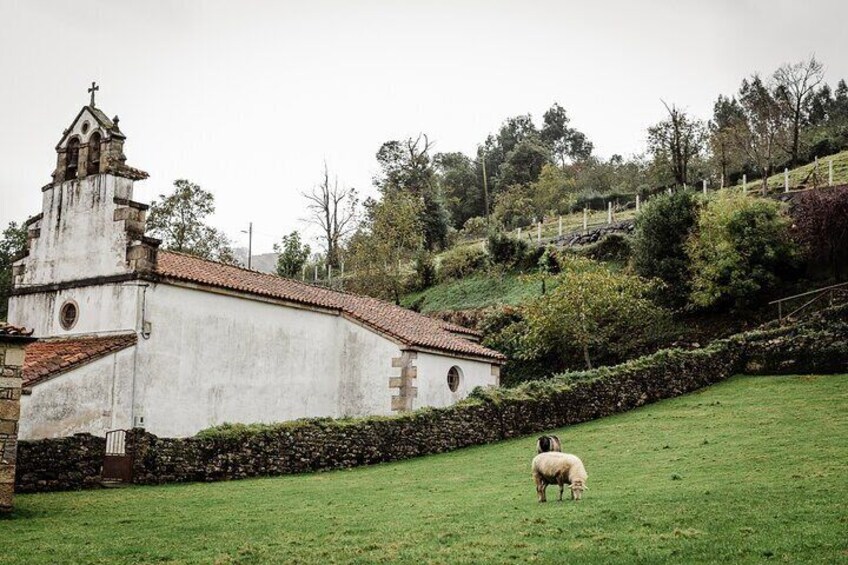 Cider Tour with Asturian Menu: Villaviciosa and Bowls