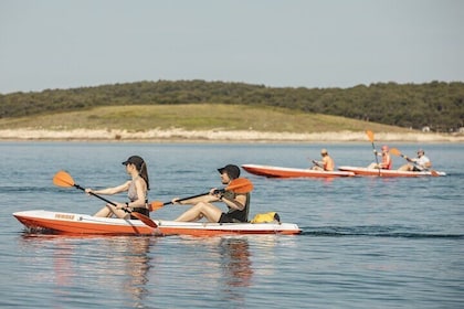 Adventure Kayak Tour in Seagulls Rocks