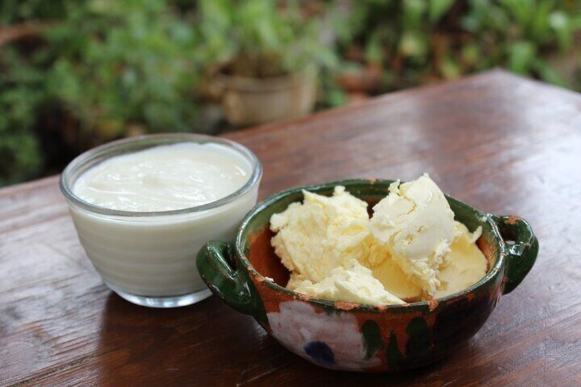 Private Quesillo and Organic Fresh Cheese Class in Oaxaca