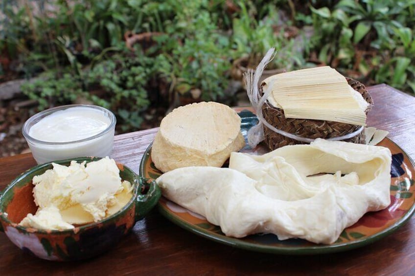 Private Quesillo and Organic Fresh Cheese Class in Oaxaca