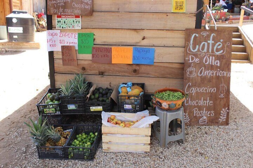 Private Quesillo and Organic Fresh Cheese Class in Oaxaca