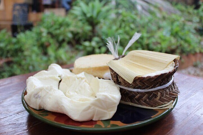 Private Quesillo and Organic Fresh Cheese Class in Oaxaca