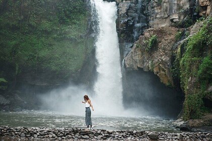 UBUD : Temple and Waterfall All-inclusive Day Tour