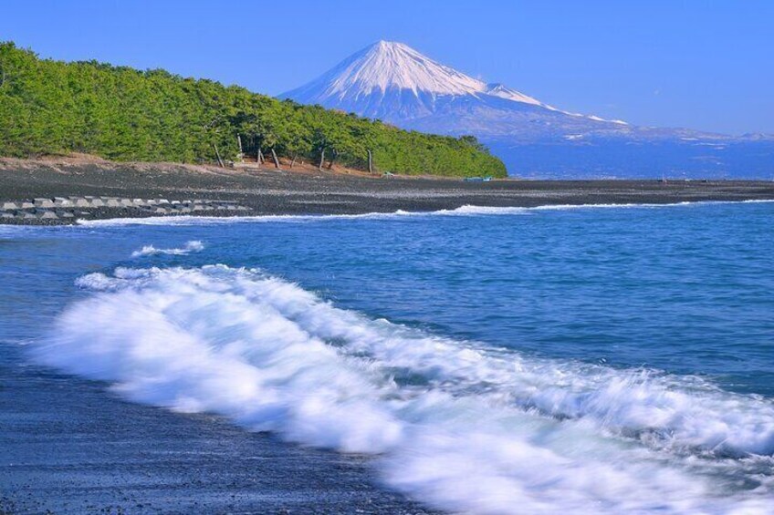 Miho no Matsubara (Miho Pine Tree Grove)