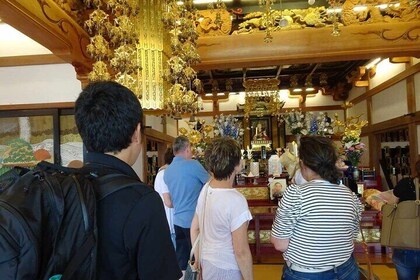 Step-Free Easy going tour from Shimizu Port / Van Taxi