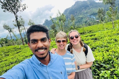 Discover Sri Lanka with Tailored Tours for Timeless Memories