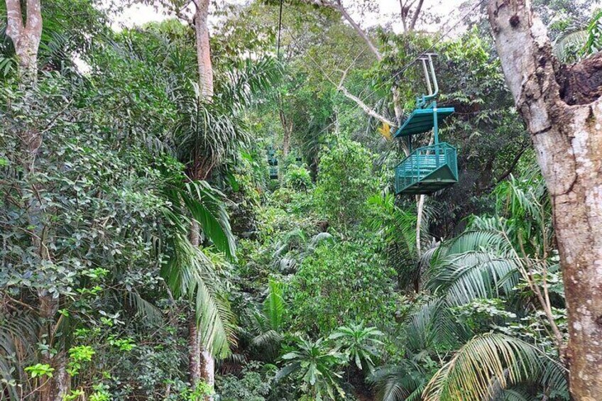 Panamanian Adventure with Cable Cars and Sloth Sanctuary