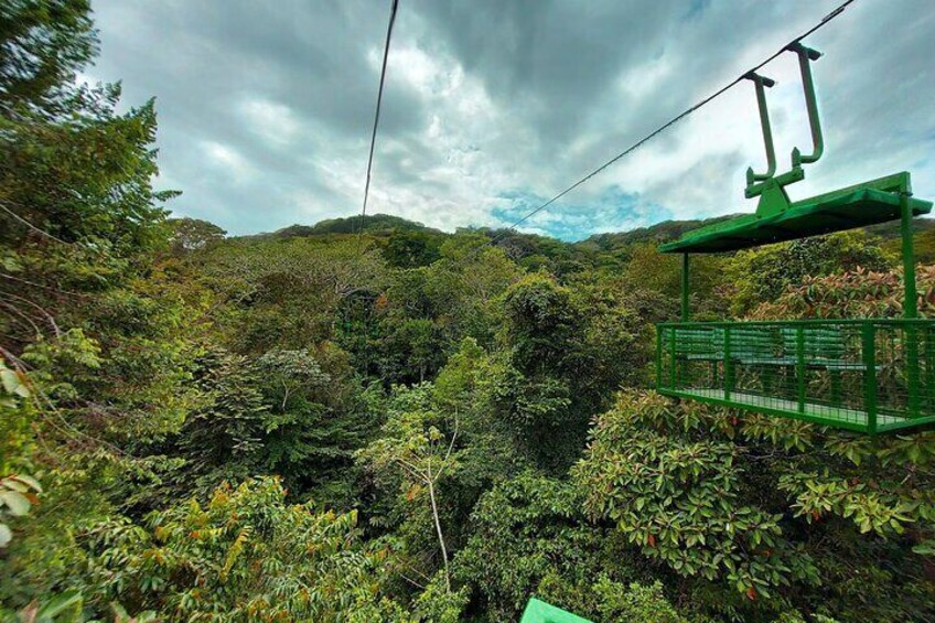 Panamanian Adventure with Cable Cars and Sloth Sanctuary