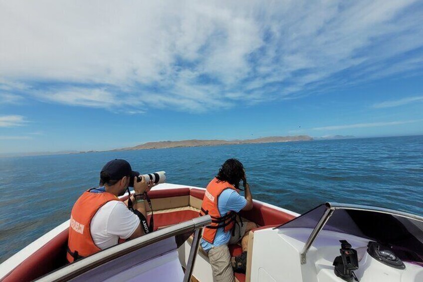 Private Tour to the Ballestas Islands