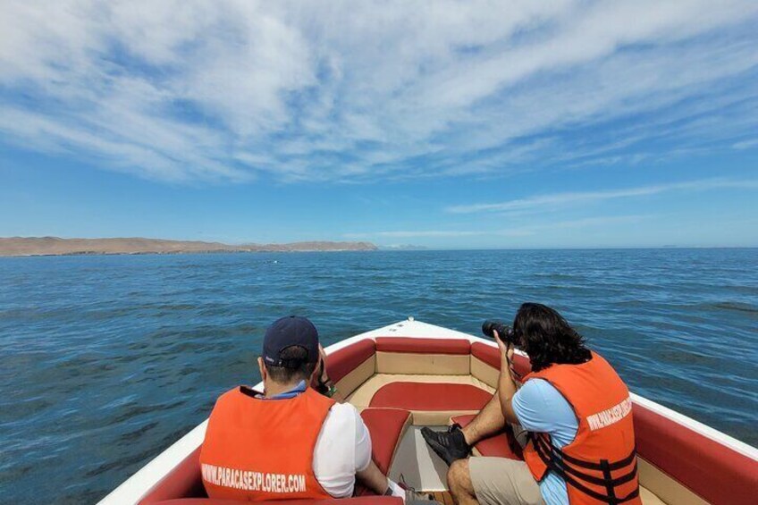 Private Tour to the Ballestas Islands