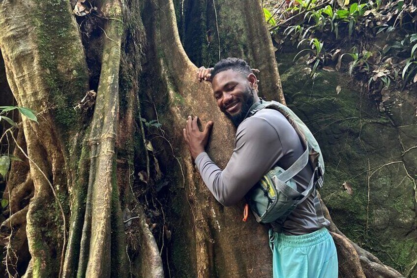 Hiking Adventure, Waterfalls and Swim in El Yunque with a Local 