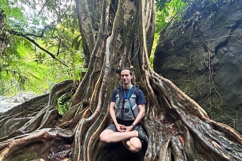 Hiking Adventure, Waterfalls and Swim in El Yunque with a Local 