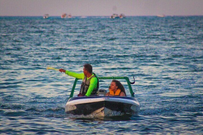 Delve deep into the mangroves of Cancun