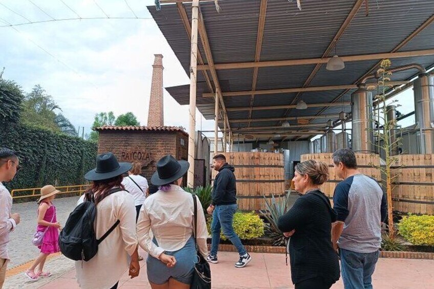 Learning the tequila process.