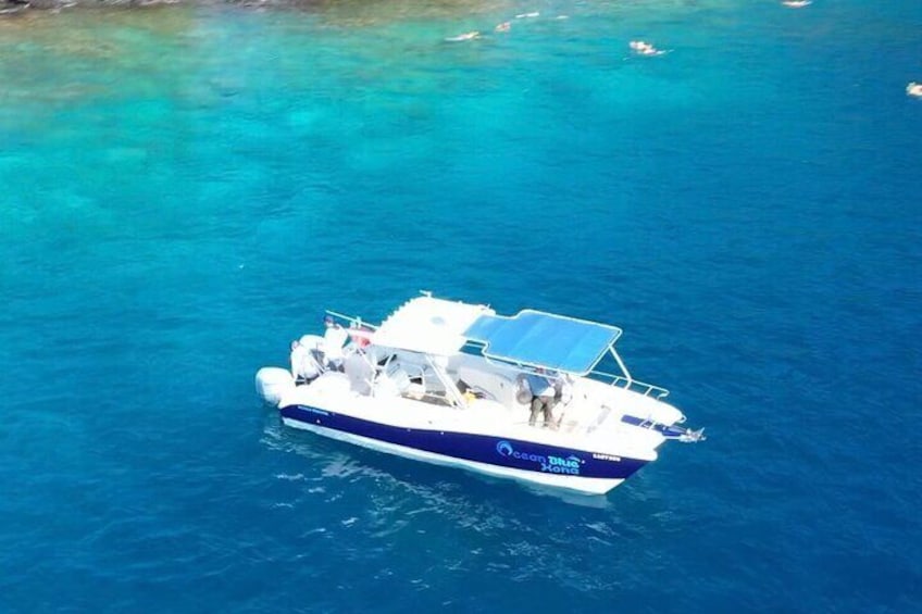 6 Hour Private Snorkeling Tour in Kona