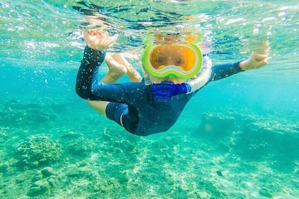 4 Hour Private Snorkelling Tour in Kona