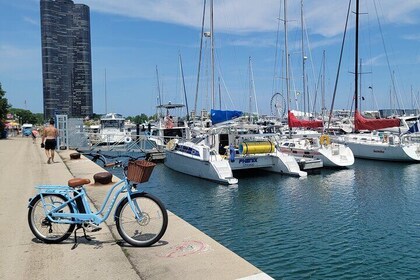 E-Bike South Shore Chigago Skyline Architectural Tour