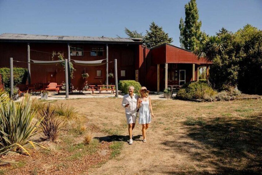 CRUISE SHIP DAY LYTTELTON Hop On Hop Off Wine Tours to Waipara