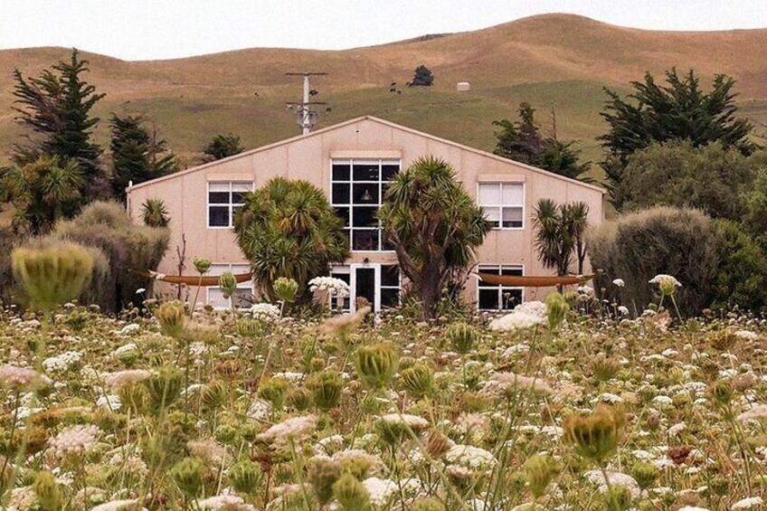 CRUISE SHIP DAY LYTTELTON Hop On Hop Off Wine Tours to Waipara