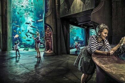 Dubai Lost Chambers Aquarium Admission E-Ticket