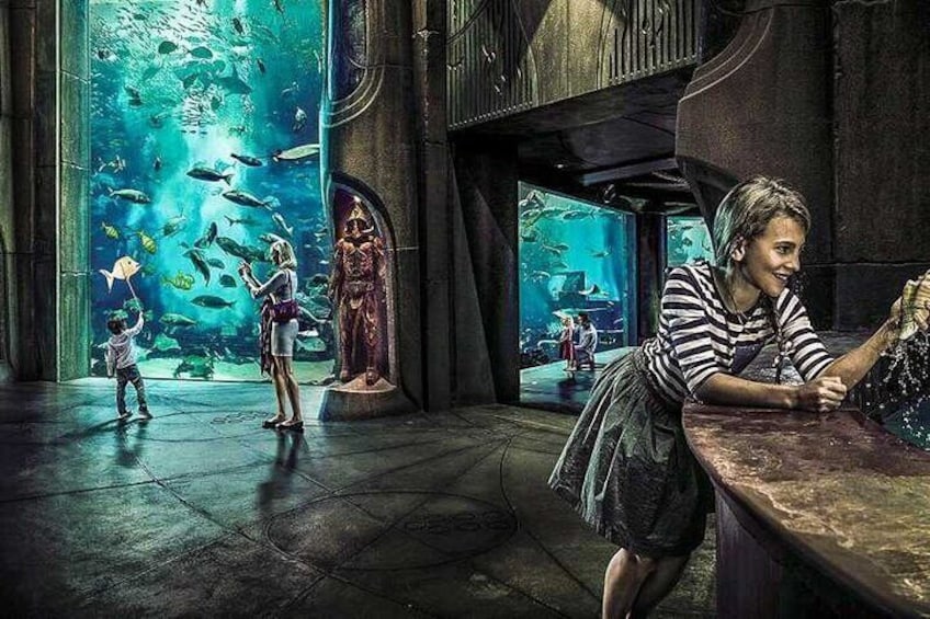 Dubai Lost Chambers Aquarium Admission Ticket