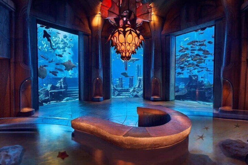 Dubai Lost Chambers Aquarium Admission Ticket