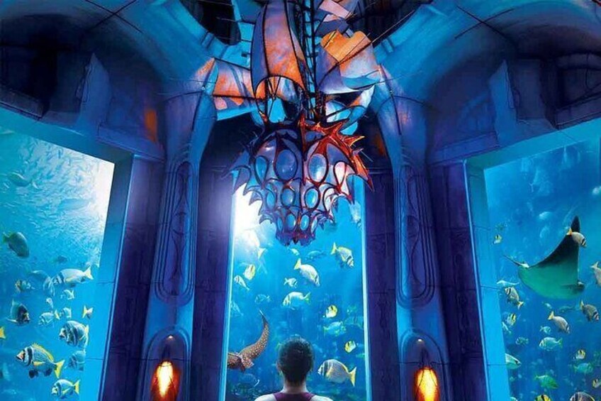 Dubai Lost Chambers Aquarium Admission Ticket