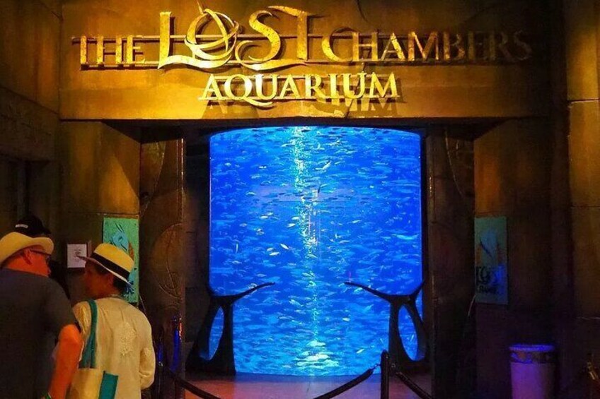 Dubai Lost Chambers Aquarium Admission Ticket