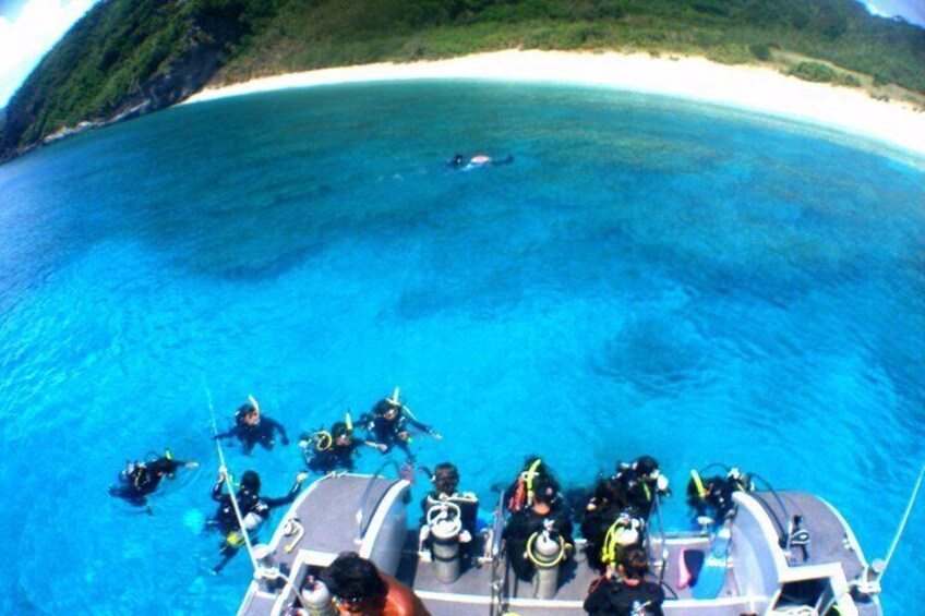 After the trial diving, you can enjoy snorkeling.