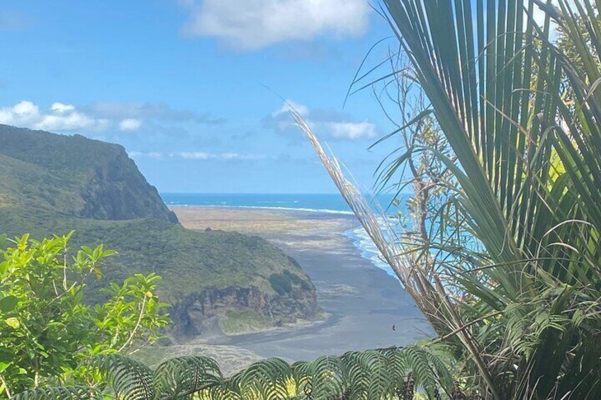 Bay of the Boisterous Seas Piha & Karekare 