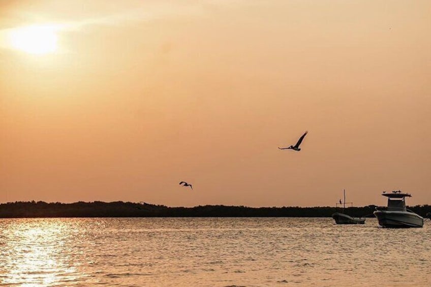 Romantic sunset tour in Río Lagartos