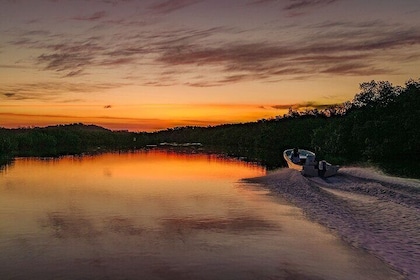 Romantic sunset tour in Río Lagartos, with food