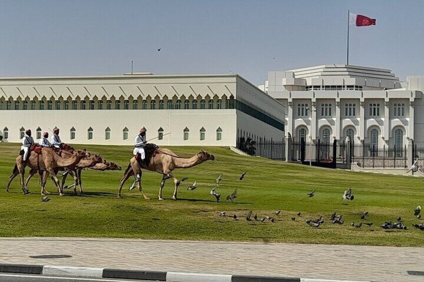 Walking Tour at Souq Waqif and Musherib